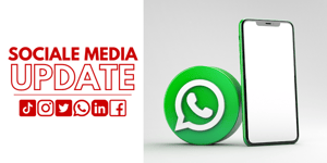 Sociale Media Update: Online zijn op WhatsApp binnenkort niet meer zichtbaar